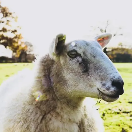 Barn Near With Hot Tub Ferienhaus *