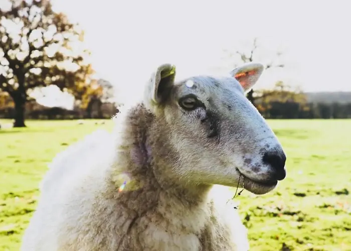 Barn Near With Hot Tub Nyaraló *